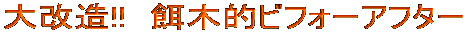 �����!!�@�a�ؓI�r�t�H�[�A�t�^�[